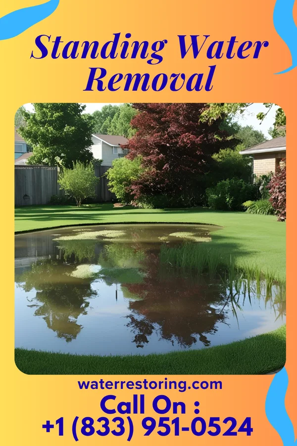 Standing Water Removal in Guntersville, AL